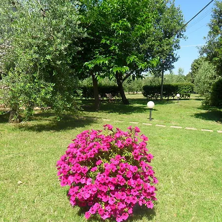 Casale Santa Caterina 4* Amelia