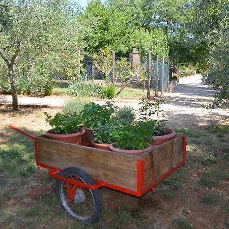 Apartahotel Casale Santa Caterina