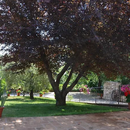 Casale Santa Caterina Amelia